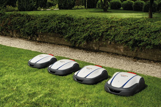 Picture In garden showing the range of new Miimows lined up.
